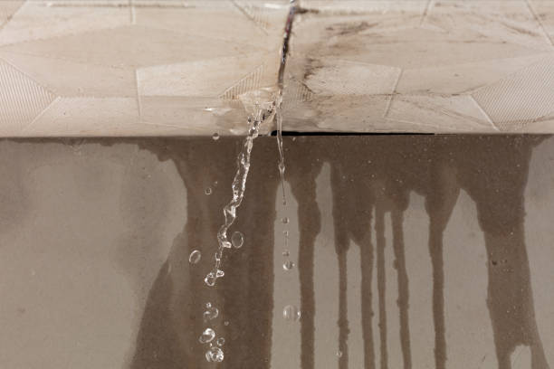 Professional Water Damage Repair technician working in Bellville, OH